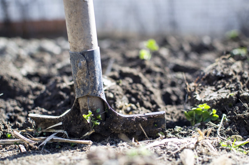 jardinerie-ST SAUVEUR SUR TINEE-min_equipment-2047314